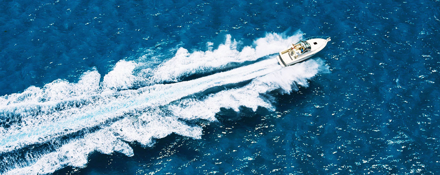 Sea Star Marine Image